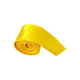 SKBT137 大量訂製純色領呔 設計休閒領呔 領呔供應商 SKBT137 大量訂製純色領呔 設計休閒領呔 領呔供應商